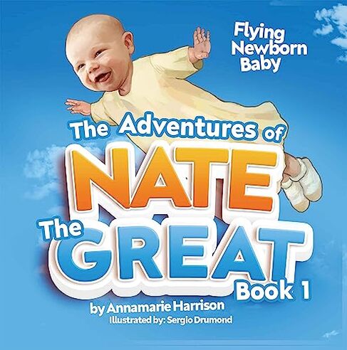 nate the great flying baby childrens book
