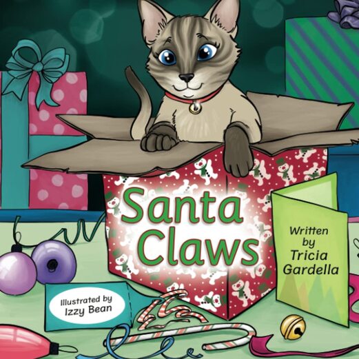 santa claws childrens book